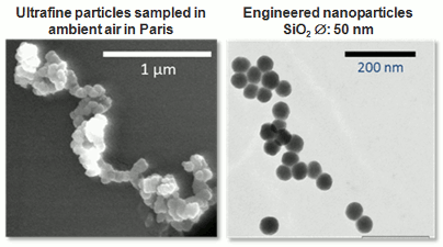 <multi> [fr] Particules ultrafines et nanoparticules manufacturées [en] Ultrafine particles and engineered nanoparticles </multi>